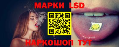 гидра Ставрополь