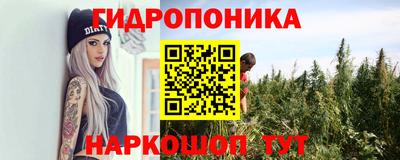 шишки Среднеуральск