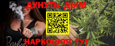 гидра Ставрополь
