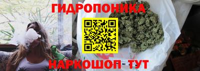 шишки Среднеуральск