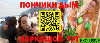 гидра Ставрополь