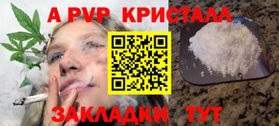 гидра Ставрополь