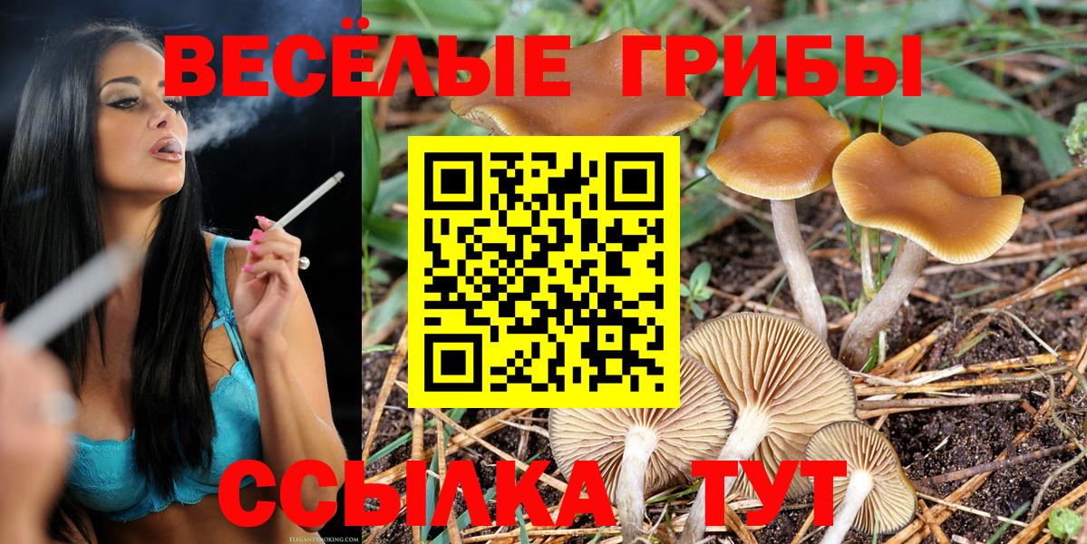 Псилоцибиновые грибы GOLDEN TEACHER  цены наркотик  Псков  Галлюциногенные грибы Magic Shrooms  Вход с VPN 