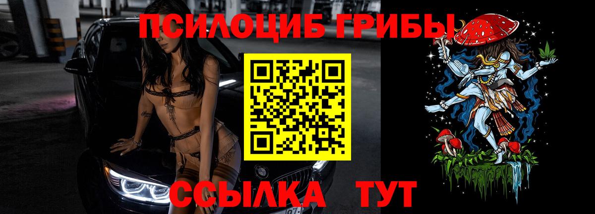 Псилоцибиновые грибы Psilocybine cubensis Псков